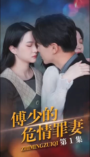 傅少的隐婚罪妻